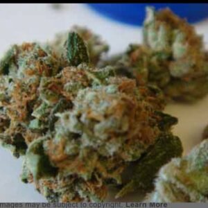 Obama kush