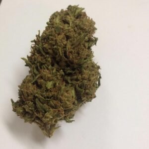 Jack Herrer