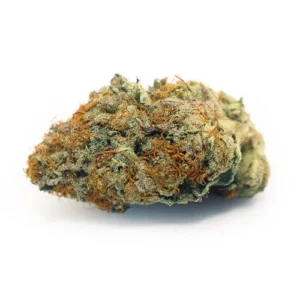 Apple Fritter