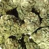 Blue Dream