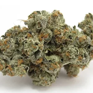 Krypto Chronic