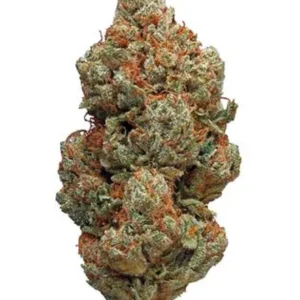 Platinum OG