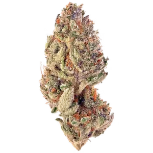 Sorbet