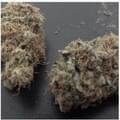 Ghost Train Haze