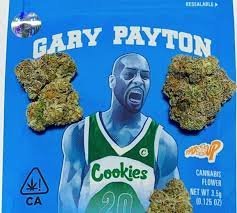 Gray Payton